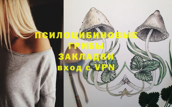 гидропоника Волоколамск