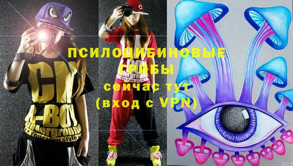 трава Верхний Тагил
