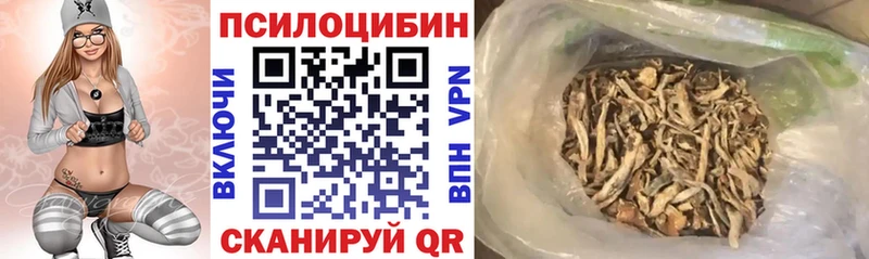 Псилоцибиновые грибы Magic Shrooms  даркнет сайт  Калачинск 